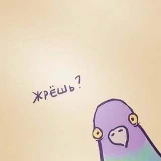 👀 baf87c14 Жрёшь? bồ câu, chim, nga, câu hỏi, ăn telegram sticker
