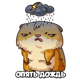 🌧 d31a55ee опять дождь rái cá, bão, mưa, mây, thời tiết, buồn telegram sticker