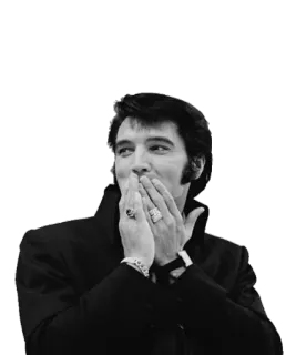 😱 ffca2400 Elvis Presley Elvis Presley, penyanyi, ikon, musik, budaya pop telegram sticker