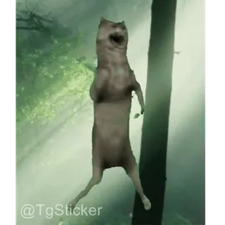 🐺 8bdbb3d9 @TgSticker tier, lustig, ratte, tanzen telegram sticker