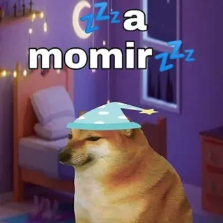 😴 1bf6b4ba Doge a momir pies, sen, mem, zwierzę telegram sticker