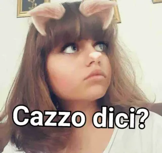 ❓ 6cf5c786 Cazzo dici? włoski, dziewczyna, obraźliwe, filtr, kurwa telegram sticker