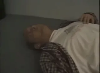 🍃 cb005f49 telegram sticker