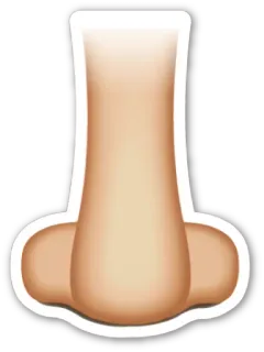 👃 6297da7d naso, anatomia, faccia, parte del corpo, olfatto, tratto del viso telegram sticker