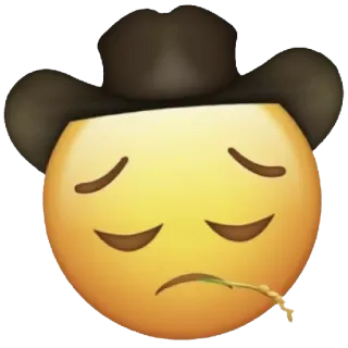 😔 38c1c3b9 이모지, 슬픈, 카우보이, 모자, 노란색 telegram sticker