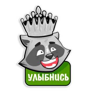 😉 a263bd14 УЛЫБНИСЬ アライグマ, 王冠, 笑顔, かわいい, 動物, アニメ whatsapp sticker