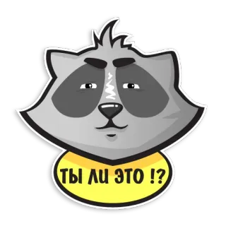 🤨 c3b3c40e ТЫ ЛИ ЭТО !? アライグマ, 漫画, 動物, ステッカー, 質問 whatsapp sticker