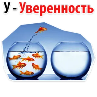 🤟 ec7367ed У-Уверенность pez, pez dorado, agua, motivación, cambio, confianza, ruso whatsapp sticker