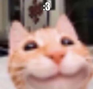 😏 46f8b41e :3 cat, meme, animal, cute, expression telegram sticker