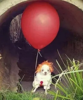 🤡 75ab27e6 Pennywise IT dog, clown, balloon, pennywise, horror telegram sticker