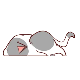 💤 49d14832 gato, durmiendo, perezoso, lindo, animal, mascota, relajado whatsapp sticker
