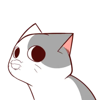 🙃 c1d60dae gato, gracioso, mono, animal, pegatina whatsapp sticker