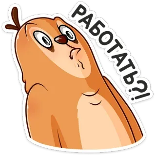 ⁉️ bd993a5d РАБОТАТЬ? perezoso, animal, dibujos animados, pregunta, trabajo, empleo telegram sticker