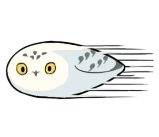 🏃‍♂ 8457e6c3 coruja, pássaro, animal, desenho animado, velocidade whatsapp sticker