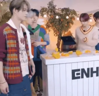 🌟 21f161da ENH k팝, 보이그룹, 음악, 그룹, 엔터테인먼트 telegram sticker