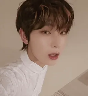 🌟 e49b1a95 사람, 남자, 인물, 한국 telegram sticker