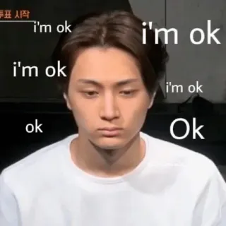 🤐 2893f584 i'm ok mème, triste, ok, personne, ça va telegram sticker