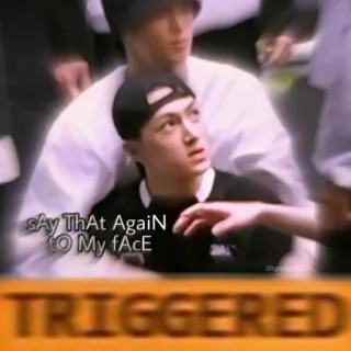 😡 4c914864 sAy ThAt AgaiN tO My fAcE
TRIGGERED mème, trigger, défi telegram sticker