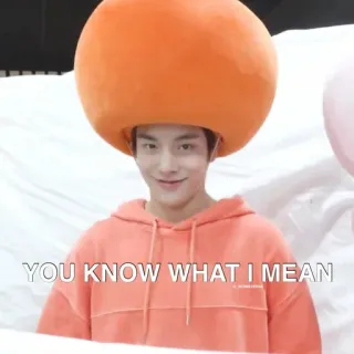 😏 a4965f8e YOU KNOW WHAT I MEAN orange, chapeau, homme, sourire, tu vois telegram sticker