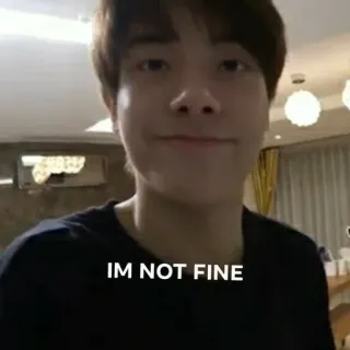 🙂 e3c62566 IM NOT FINE triste, contrarié, inquiet, anxieux telegram sticker