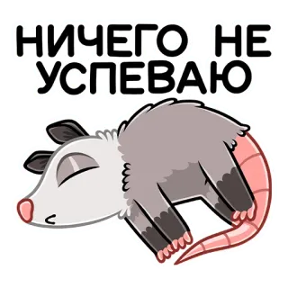 😵 a1b2dc63 НИЧЕГО НЕ УСПЕВАЮ opossum, dier, slaperig, schattig, cartoon, gestresst, moe telegram sticker