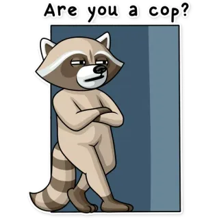 😑 710795ac Are you a cop? guaxinim, pergunta, polícia, suspeito, engraçado, meme whatsapp sticker