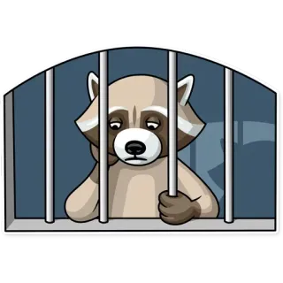 😞 83e3f4bb guaxinim, prisão, triste, desenho animado, animal, prisioneiro whatsapp sticker