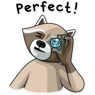 👍 fe3bdc4c Perfect! guaxinim, perfeito, diamante, animal, fofo whatsapp sticker