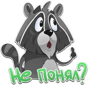 🤷 f085b3eb Не понял? procione, domanda, confuso, adesivo, cartone animato, slang telegram sticker