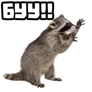 👻 06503739 БУУ!! rakun, binatang, boo, menakutkan, imut telegram sticker