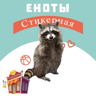 📁 381052ac ЕНОТЫ Стикерная rakun, stiker, binatang, imut, toko telegram sticker