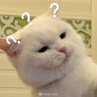 ⁉️ 225338d9 kucing, pertanyaan, bingung, putih, binatang, meme, ekspresi telegram sticker