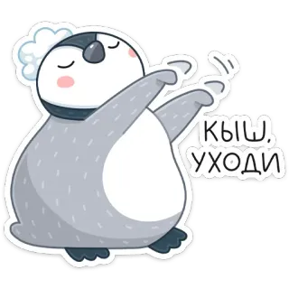 👋 23273426 КЫШ, УХОДИ коала, мультфильм, животное, милый, текст, иллюстрация whatsapp sticker