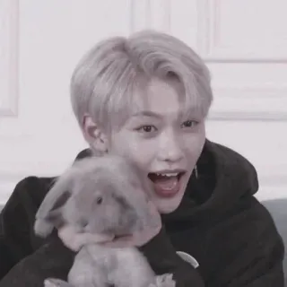 😈 0533426c Felix kpop, stray kids, idol, felix, królik telegram sticker