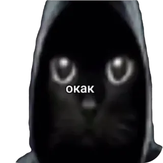🤨 867970e0 окак mèo, đen, áo trùm đầu, meme telegram sticker