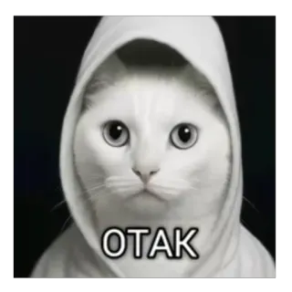 🤨 fcb72df6 OTAK mèo, otaku, meme, áo hoodie, động vật, hài hước, nhãn dán telegram sticker