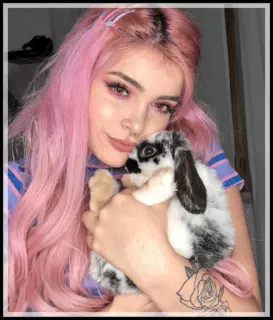 🍁 5a8530c1 女孩, 兔子, 宠物, 粉色头发, 肖像 telegram sticker