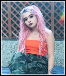 🍁 83e1c831 女孩, 粉色头发, 迷彩, 时尚, 女性 telegram sticker