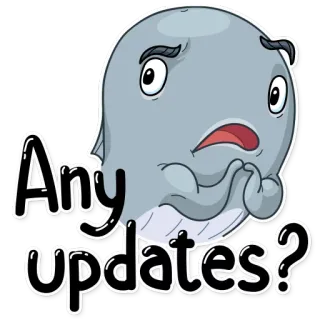 🆕 499b581a Any updates? paus, pembaruan, kartun, permintaan, hewan, pertanyaan telegram sticker