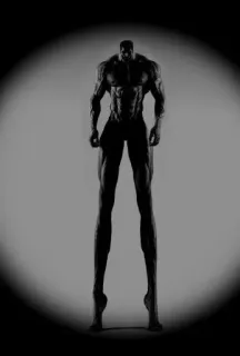 💪 a90345a0 肌肉, 解剖, 健身, 艺术, 高, 暗, 肌肉发达, 健美 telegram sticker