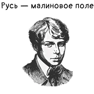 🏕 7a5d51c9 Русь – малиновое поле ロシア, フィールド, ポートレート, 文学, 詩 telegram sticker