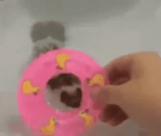 🧼 141ea500 telegram sticker