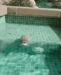 ❤️ 878629e7 telegram sticker