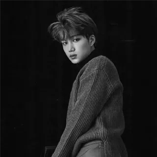 ⚜ 76287e7d đàn ông, chân dung, trắng đen, áo len, người mẫu, kpop telegram sticker