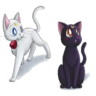 Especial Érica telegram stickers