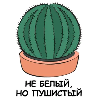 💀 42adfb93 НЕ БЕЛЫЙ, НО ПУШИСТЫЙ cactus, pianta, carino, pianta in vaso, testo russo whatsapp sticker