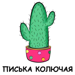 👺 481f5aaa ПИСЬКА КОЛЮЧАЯ cactus, pianta, vaso, carino, succulenta whatsapp sticker