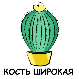 🐷 613059ff КОСТЬ ШИРОКАЯ cactus, pianta, russo, adesivo whatsapp sticker