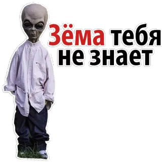 This is Zema! @stickersb2b telegram stickers