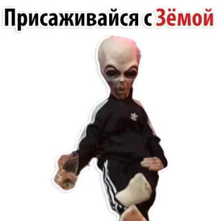 This is Zema! @stickersb2b whatsapp stickers